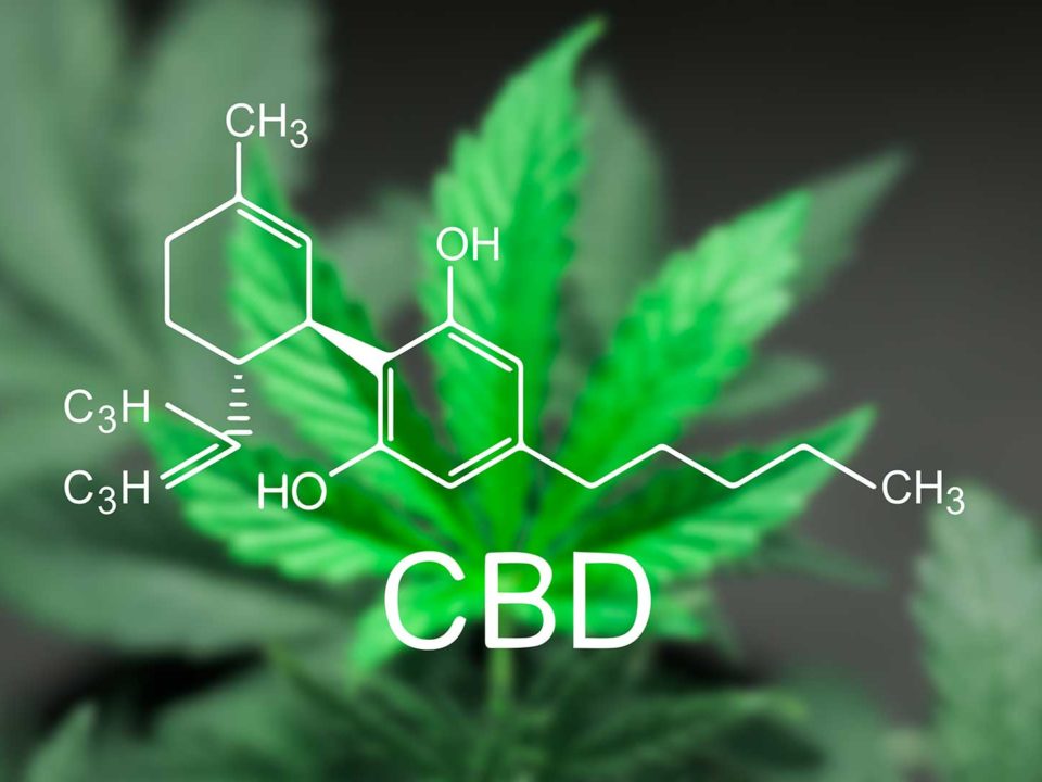 cannabis-cbd